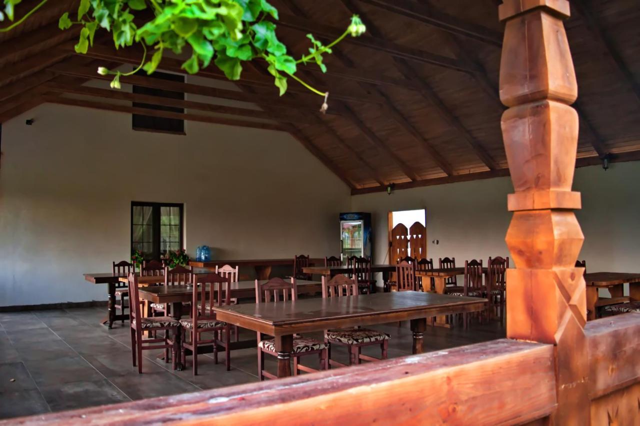 Conacul Cosaului Feresti Exterior photo
